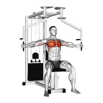Lever Seated Fly - Exclusive get you ultimate Strength for Pectoralis from X health blend   Animated Exercise  Library