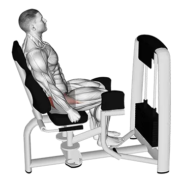 Lever Seated Hip Abduction - Exclusive get you ultimate Strength for Abductors from X health blend   Animated Exercise  Library