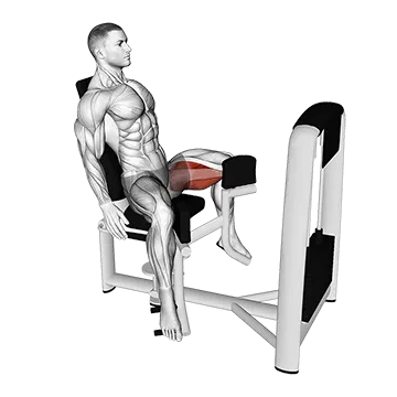 Lever Seated Hip Adduction - Exclusive get you ultimate Strength for Adductors from X health blend   Animated Exercise  Library