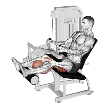 Lever Seated Leg Curl