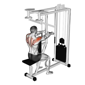 Lever Seated Reverse Fly - Exclusive get you ultimate Strength for Rear Deltoids from X health blend   Animated Exercise  Library