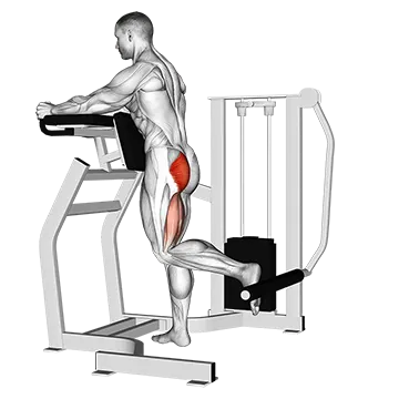 Lever Standing Hip Extension - Exclusive get you ultimate Strength for Glutes from X health blend   Animated Exercise  Library