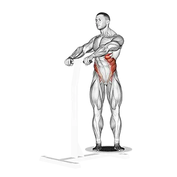 Lever Twist - Exclusive get you ultimate Strength for Obliques from X health blend   Animated Exercise  Library