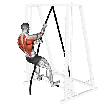 London Bridge - Exclusive get you ultimate Strength for Glutes from X health blend   Animated Exercise  Library
