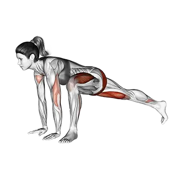 Lunge Push Up - Exclusive get you ultimate Strength for Pectorals