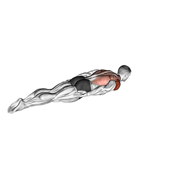 Lying Around the World - Exclusive get you ultimate Stretching for Deltoids from X health blend   Animated Exercise  Library