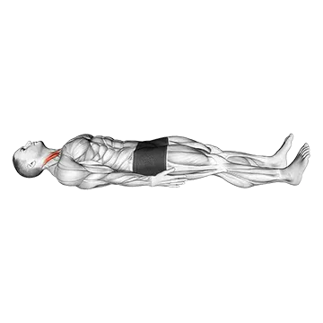 Lying Chin Tucks - Exclusive get you ultimate Stretching for Sternocleidomastoid from X health blend   Animated Exercise  Library