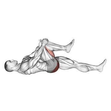 Lying Knee to Chest Stretch - Exclusive get you ultimate Stretching for Hip Flexors from X health blend   Animated Exercise  Library