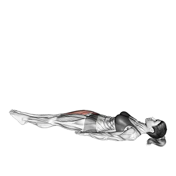 Lying Single Leg Raise