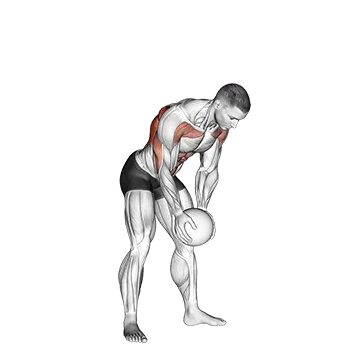 Medicine Ball Catch and Overhead Throw - Exclusive get you ultimate Strength for Shoulders from X health blend   Animated Exercise  Library