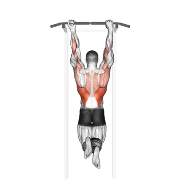Mixed Grip Chin Up - Exclusive get you ultimate Strength for Back from X health blend   Animated Exercise  Library