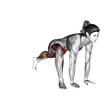 Mountain Climber Lunge - Exclusive get you ultimate Strength