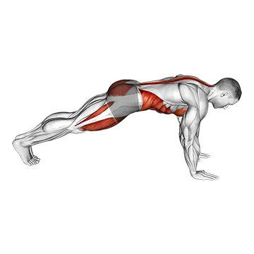 Mountain Climber - Exclusive get you ultimate Cardio for Abdominals from X health blend   Animated Exercise  Library