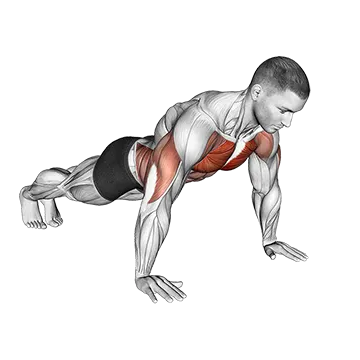 Negative Push Up