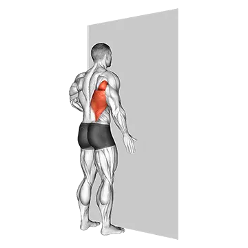 One Arm Against Wall - Exclusive get you ultimate Strength for Shoulders from X health blend   Animated Exercise  Library