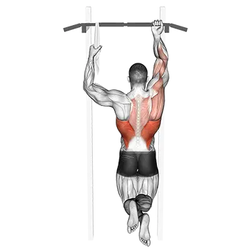 One Arm Chin Up - Exclusive get you ultimate Strength for Back