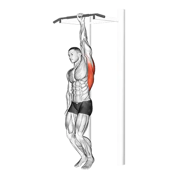One Handed Hang - Exclusive get you ultimate Strength for Forearms