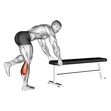One Leg Donkey Calf Raise