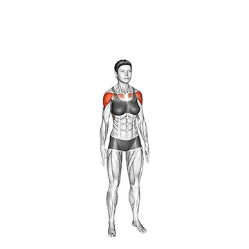Overhead Clap - Exclusive get you ultimate Strength for Shoulders from X health blend   Animated Exercise  Library
