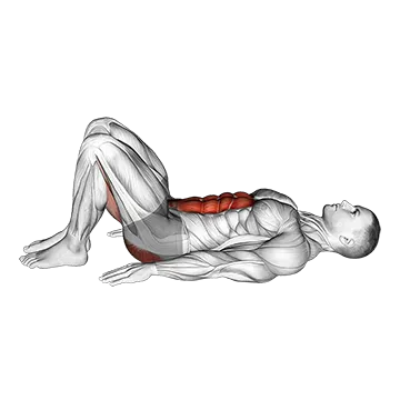 Pelvic Tilt - Exclusive get you ultimate Strength for Transverse Abdominis from X health blend   Animated Exercise  Library