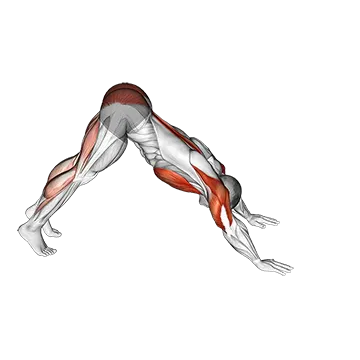 Pike to Cobra Push Up - Exclusive get you ultimate Strength for Rectus Abdominis