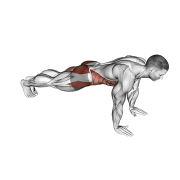 Plank Jack - Exclusive get you ultimate Cardio for Rectus Abdominis from X health blend   Animated Exercise  Library