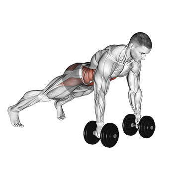 Plank Push Up Row - Exclusive get you ultimate Strength for Rectus Abdominis