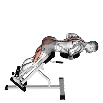 Plate Hyperextension