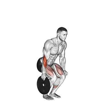 Plate Pinch - Exclusive get you ultimate Strength for Forearms Flexors from X health blend   Animated Exercise  Library