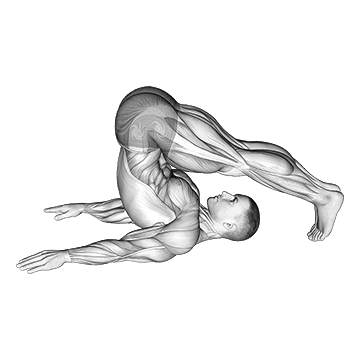 Plow Yoga Pose - Exclusive get you ultimate Stretching for Rectus Abdominis