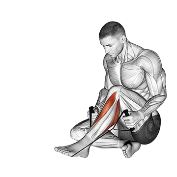 Posterior Tibialis Stretch - Exclusive get you ultimate Stretching