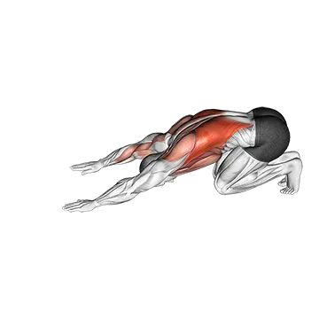 Power Push Aways - Exclusive get you ultimate Strength for Pectoralis