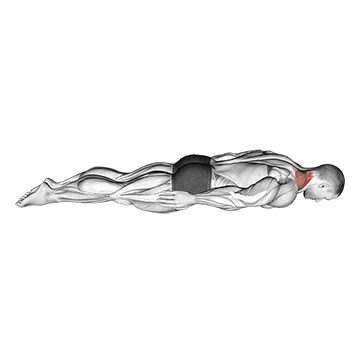 Prone Cervical Extension - Exclusive get you ultimate Strength for Erector Spinae from X health blend   Animated Exercise  Library