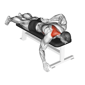 Prone Single Arm Trap Raise - Exclusive get you ultimate Strength for Traps from X health blend   Animated Exercise  Library