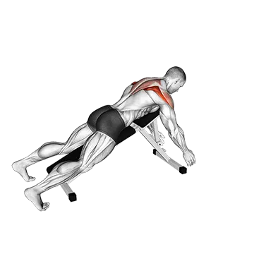 Prone Y Raise - Exclusive get you ultimate Strength for Deltoids from X health blend   Animated Exercise  Library