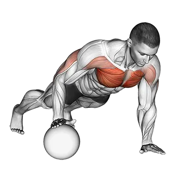 Push Up Medicine Ball - Exclusive get you ultimate Strength for Pectoralis