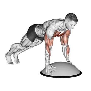 Push Up on Bosu Ball - Exclusive get you ultimate Strength for Pectoralis