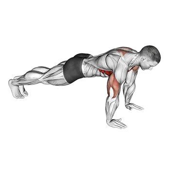 Push Up Plus
