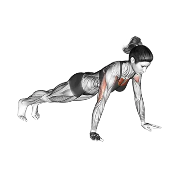 Push Up W - Exclusive get you ultimate Strength for Pectoralis