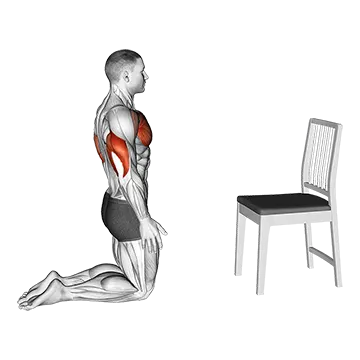 Push with Chair - Exclusive get you ultimate Strength for Pectoralis