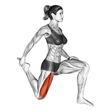 Quadriceps Stretch