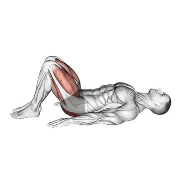 Rear Decline Bridge - Exclusive get you ultimate Strength for Glutes from X health blend   Animated Exercise  Library