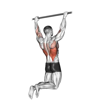 Rear Pull Up