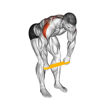 Resistance Band Bent Over Rear Delt Fly - Exclusive get you ultimate Strength for Rear Deltoids from X health blend   Animated Exercise  Library