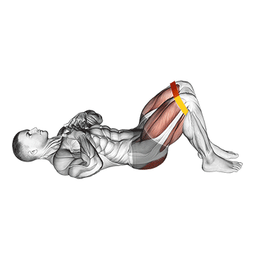 Resistance Band Glute Bridge - Exclusive get you ultimate Strength for Glutes from X health blend   Animated Exercise  Library
