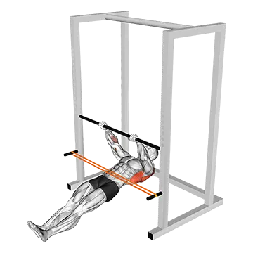Resistance Band Inverted Row - Exclusive get you ultimate Strength for Back from X health blend   Animated Exercise  Library