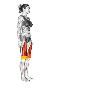Resistance Band Lunge - Exclusive get you ultimate Strength for Quadriceps from X health blend   Animated Exercise  Library
