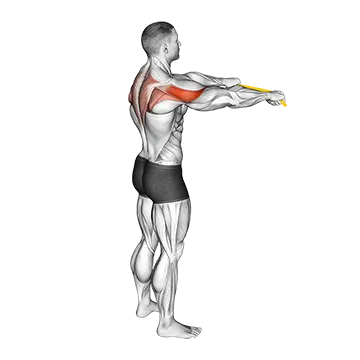 Resistance Band Pull Apart - Exclusive get you ultimate Strength for Upper Back from X health blend   Animated Exercise  Library
