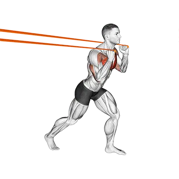 Resistance Band Punch - Exclusive get you ultimate Strength for Deltoids from X health blend   Animated Exercise  Library
