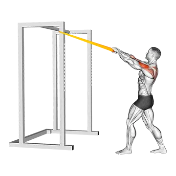 Resistance Band Rear Delt Row - Exclusive get you ultimate Strength for Rear Deltoids from X health blend   Animated Exercise  Library